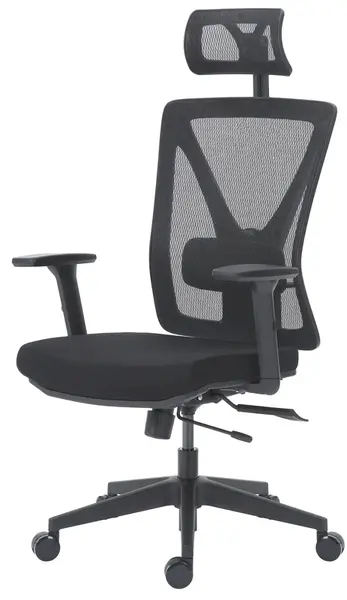 DELSO Kancelářská židle KOLINN černá, ergonomická