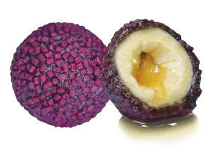 Lk baits boilie nutrigo pellets red halibut - 24 mm 250 ml