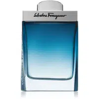 Ferragamo Subtil Pour Homme toaletní voda pro muže 100 ml