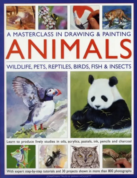 Masterclass in Drawing & Painting Animals - Jonathan Truss