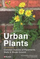 A Field Guide to Urban Plants - Alexandra-Maria Klein, Julia Krohmer