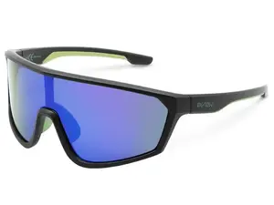 Delphin polarizační brýle view