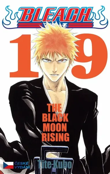 Bleach 19 - Tite Kubo