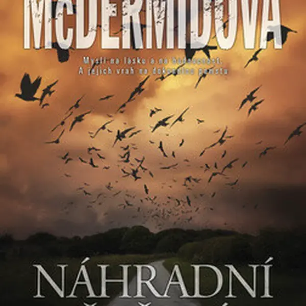 Náhradní řešení - Val McDermidová