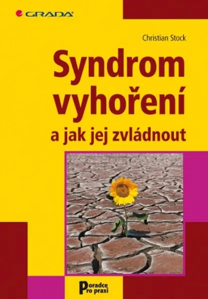 Syndrom vyhoření a jak jej zvládnout - Christian Stock - e-kniha
