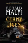 Černý jícen - Ronald Malfi - e-kniha
