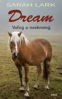 Dream - Sarah Larková