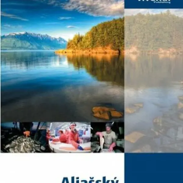 Aljašský Zaměstnanecký Program - Miroslav Medňanský - e-kniha