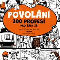 Povolání - Pavla Šmikmátorová - e-kniha