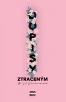 Dopisy ztraceným - Brigid Kemmererová
