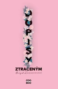 Dopisy ztraceným - Brigid Kemmererová
