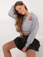 Sweatshirt-CLM-BL-1331.02P-grey