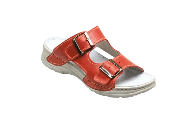 SANTÉ Dámský pantofel D/10/31/SP PAROT v.40