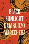 Black Sunlight - Dambudzo Marechera - kniha z kategorie Společenská beletrie