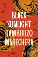 Black Sunlight - Dambudzo Marechera - kniha z kategorie Společenská beletrie