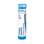 Boiron CRATAEGUS OXYACANTHA CH9 granule 4 g