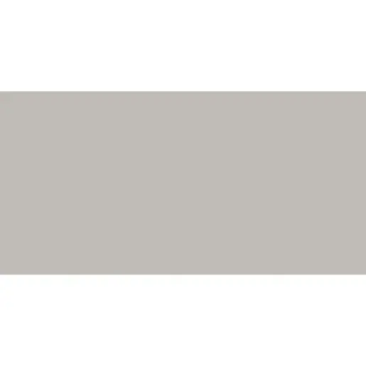 Obklad Rako Concept Plus sivá 30x60 cm lesk WAKVK010.1