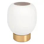 Stolová lampa Eglo MANZANARES 900307