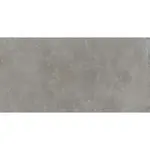 Dlažba Rako Dale elephant 30x60 cm reliéfna DAFSR880.1