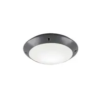 Stropné osvetlenie Reality Camaro antracit R60501042