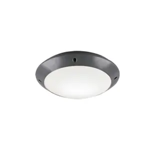 Reality Camaro stropné osvetlenie antracit r60501042 RER60501042