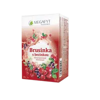 Megafyt Brusinka s bezinkou porcovaný čaj 20x2 g