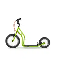 Koloběžka Yedoo Wzoom Y30 16/12" Green