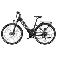 DUOTTS OT12 Electric Bike 250W 36V 13Ah 25km/h Grey