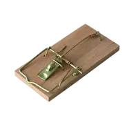 04167 Bros Pasca na myši drevená 2 ks