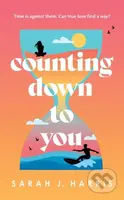 Counting Down to You - Sarah J. Harris - kniha z kategorie Romantika