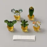 Glass Cactus Display Decorations
