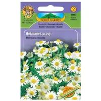 Rumanček kamilkový