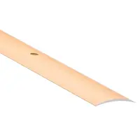 Lišta ochranná oválna LPO 40 0,9m zlatá