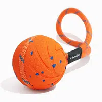 Cheerble Wicked Ball Air Rope | Hračky pre psov - oranžová