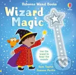 Wizard Magic - Sam Taplin, Joanne Partis (ilustrátor) - kniha z kategorie Beletrie pro děti