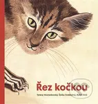 Řez kočkou - Robin Král - kniha z kategorie Beletrie pro děti