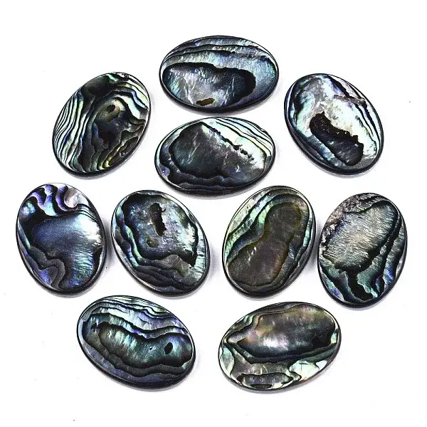 Natural Abalone Shell/Paua Shell Cabochons