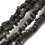 Natural Freshwater Shell Beads