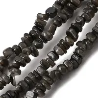 Natural Freshwater Shell Beads
