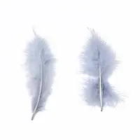 Fashion Feather Costume Accessories