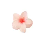 Plastic Claw Hair Clips