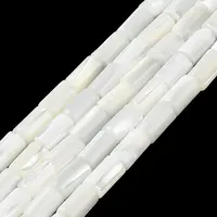 Natural Trochus Shell Beads Strands