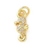 Brass Micro Pave Cubic Zirconia Charms