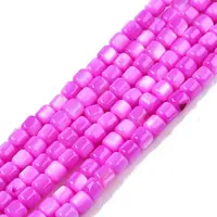 Natural Freshwater Shell Beads Strands