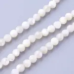Natural Shell Beads Strands
