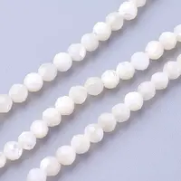 Natural Shell Beads Strands
