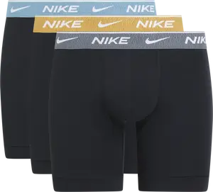 Nike boxer brief 3pk-everyday cotton stretch L