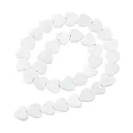 2 Strands Natural Freshwater Shell Beads Strands