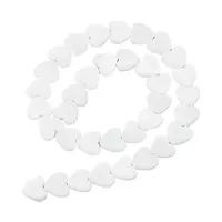 2 Strands Natural Freshwater Shell Beads Strands