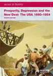 Access to History: Prosperity, Depression and the New Deal: The USA 1890-1954 4th Ed - Peter Clements